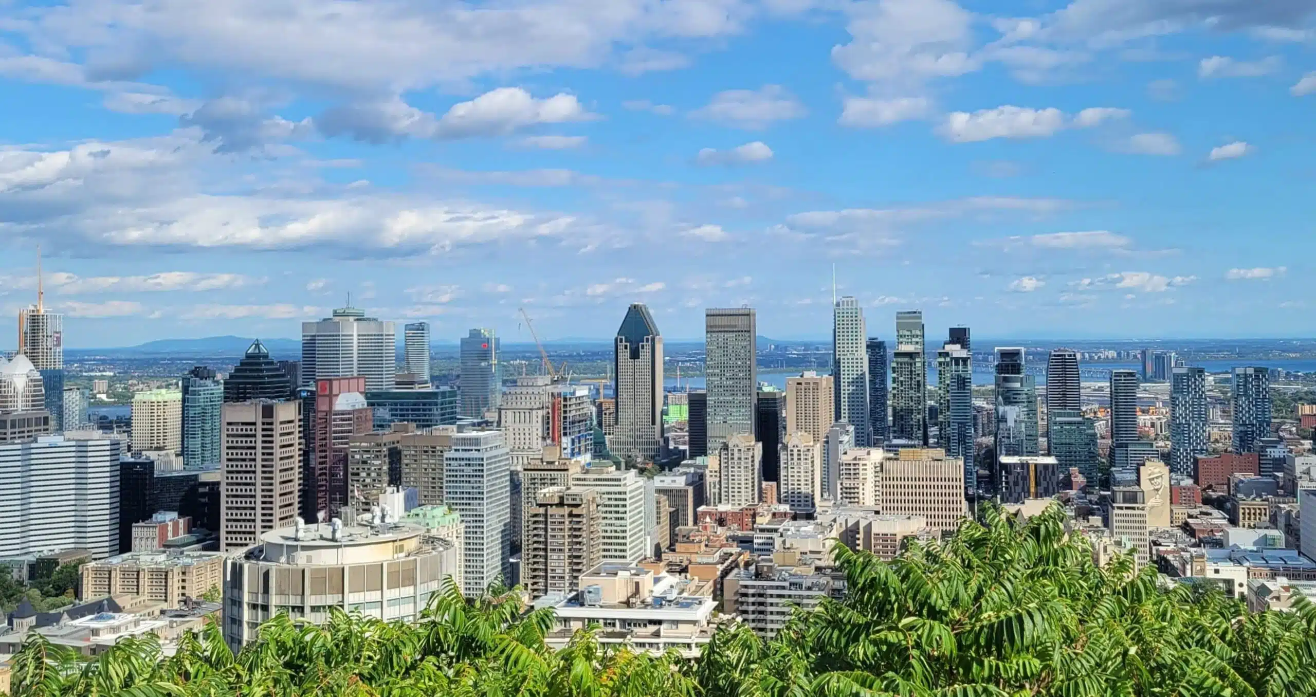Montréal chauffeur service