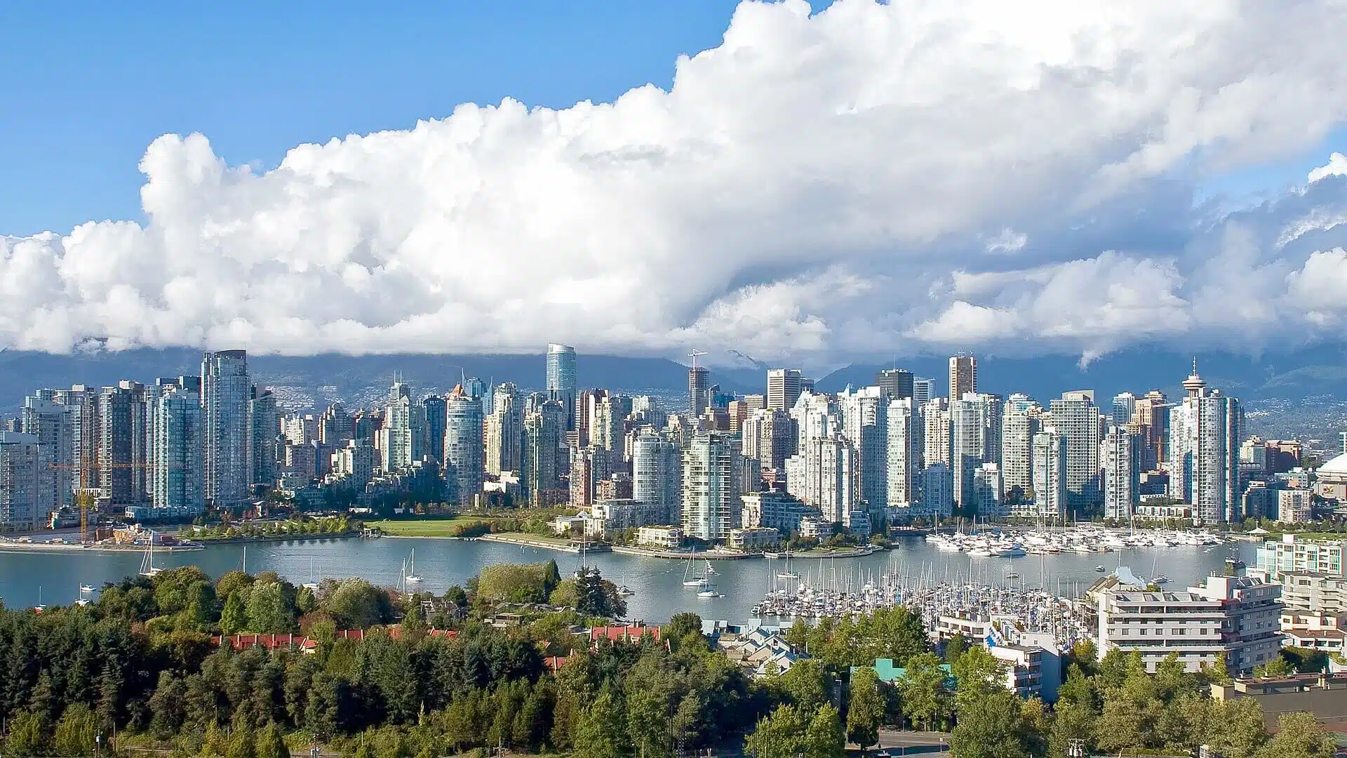 Vancouver chauffeur service