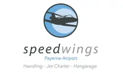 Home 12 logo speed wings